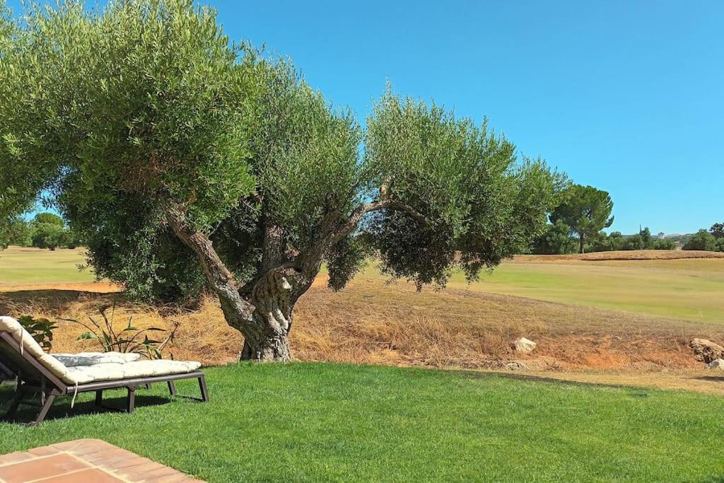Casa Los Olivos Arcos de la Frontera Εξωτερικό φωτογραφία