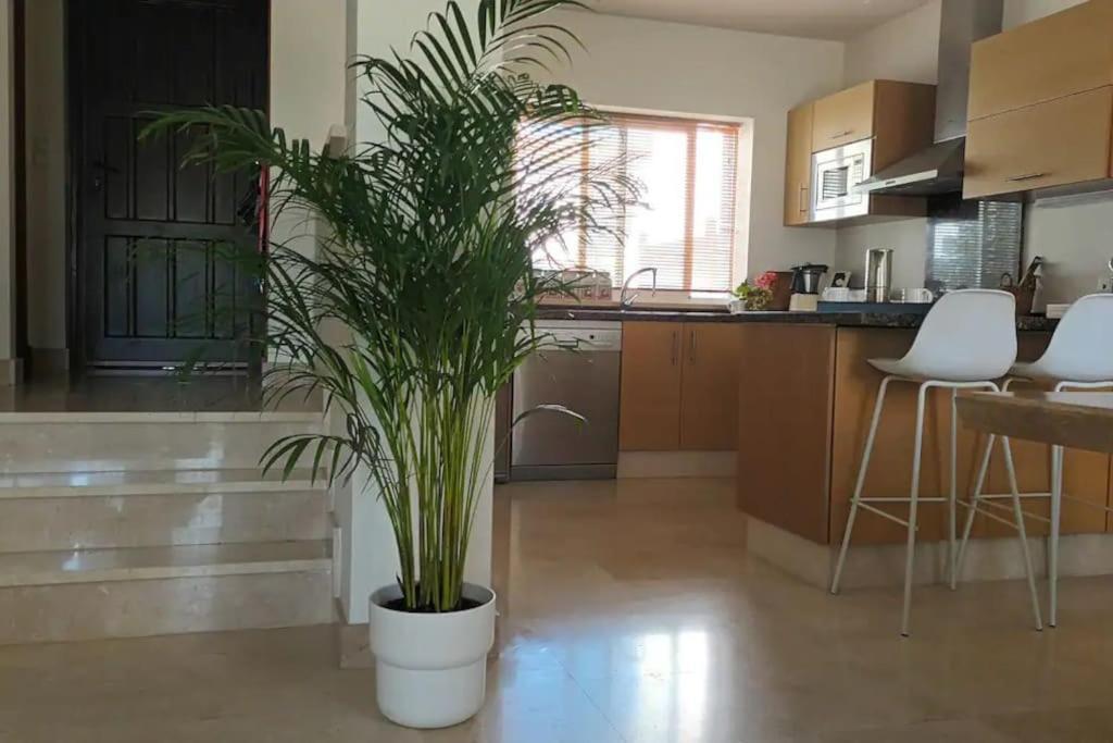 Casa Los Olivos Arcos de la Frontera Εξωτερικό φωτογραφία