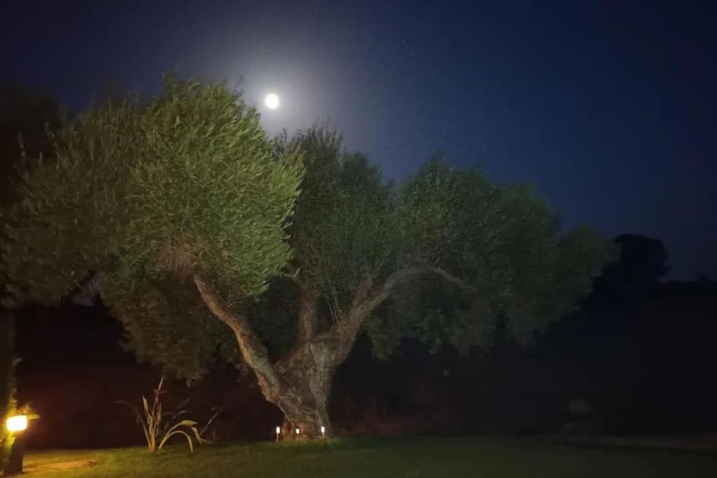 Casa Los Olivos Arcos de la Frontera Εξωτερικό φωτογραφία