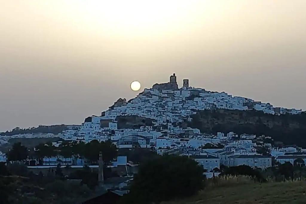 Casa Los Olivos Arcos de la Frontera Εξωτερικό φωτογραφία