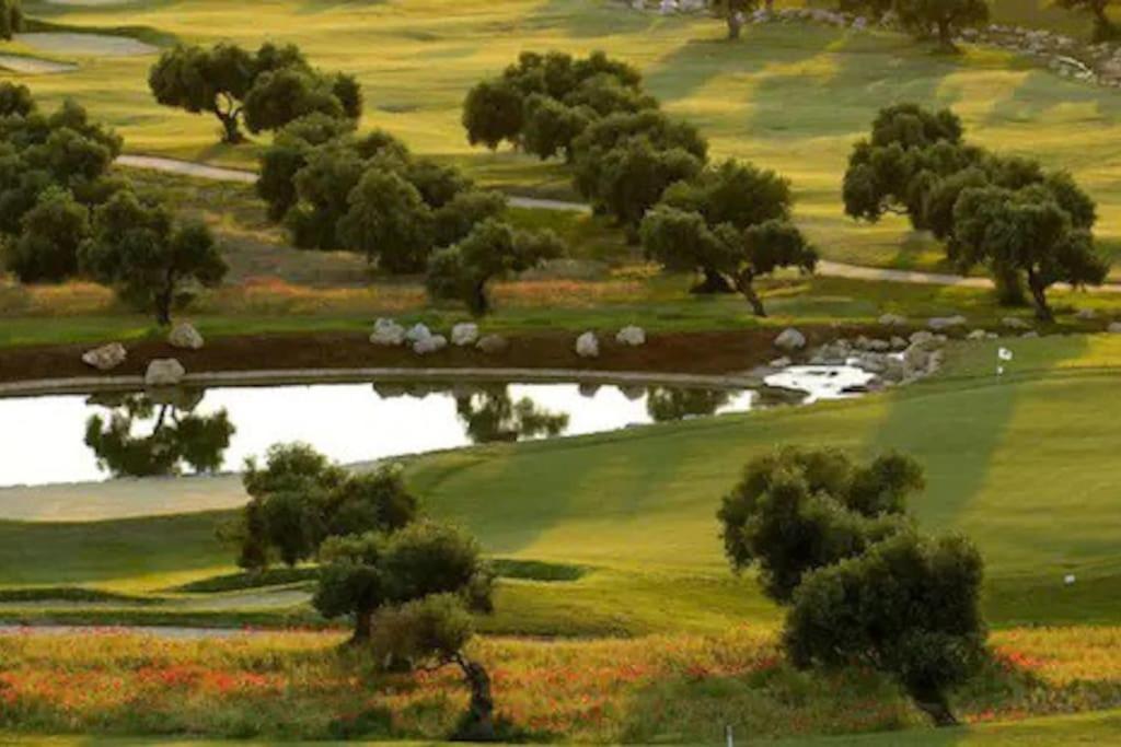 Casa Los Olivos Arcos de la Frontera Εξωτερικό φωτογραφία